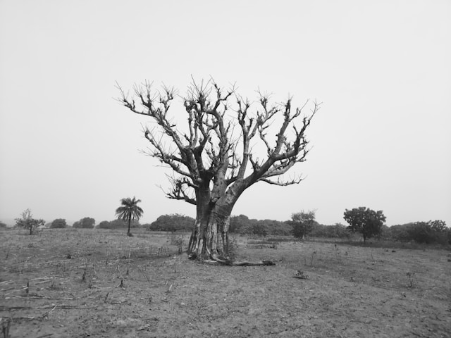 Lone figure walking through severely degraded, dry land